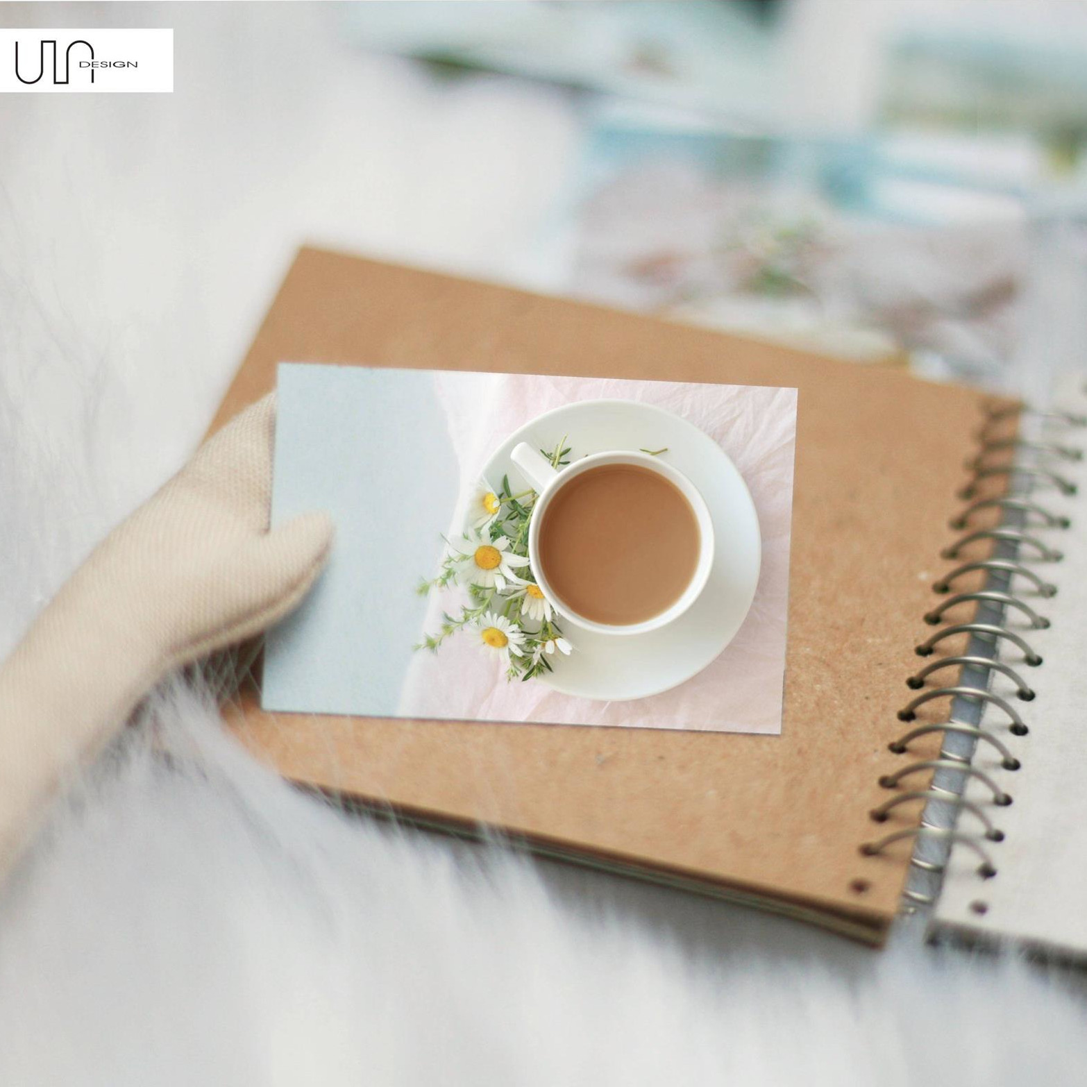 Berenika ogląda album